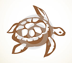 Sea turtle. Vector drawing icon