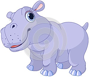 Cute hippo