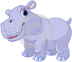 Cute hippo photo