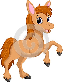 Cute horse cartoon