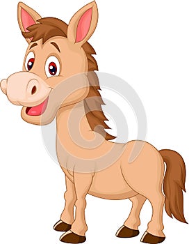 Cute horse cartoon photo