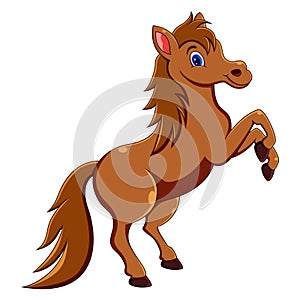 Cute horse cartoon jumping on white background
