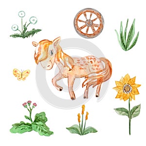 Cute horse and a set of watercolor wildflowers and a cart wheel. Isolated on white