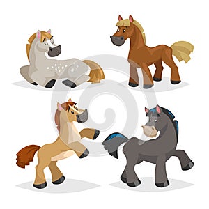 Cute horses in various poses. Cartoon style farm animals. Different colors and breeds. Slleeping, standing, riding and walking hor