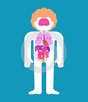 Cute Human anatomy organs Internal. cartoon style Systems of man body and organs. medical systems. kids character. Childrens style