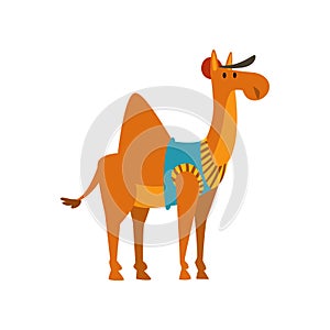 Cute Humanized Camel Animal Cartoon Character Vector Illustration