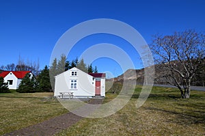 Cute Icelandic houses in a scenic landscape