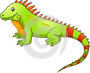 Cute iguana cartoon