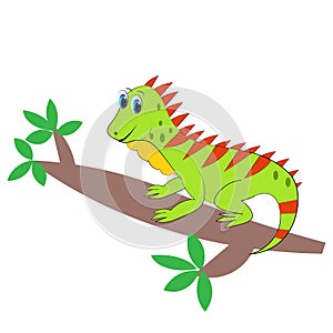 Cute iguana CARTOON   illustration vector