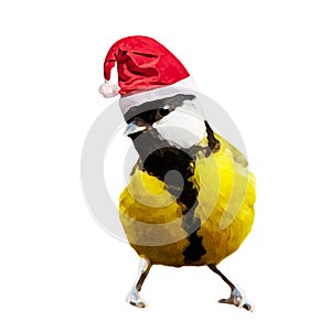 cute illustration portraying a bird wearing a Santa Claus hat,