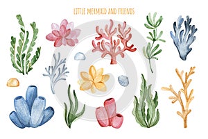 Cute illustration with seaweeds and corals.Underwater collection