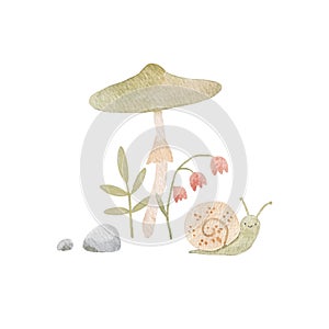 Cute illustration with watercolor hand drawn abstract forest mushrooms flowers and snails. Kids clip art. Nice mushroom