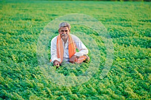 Cute Indian baby boy playing at gardenIndian farmer at the chickpea field