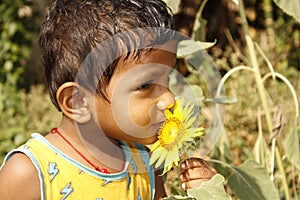 Cute Indian child with sunflower on nature background in summer garden.