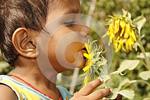 Cute Indian child with sunflower on nature background in summer garden.