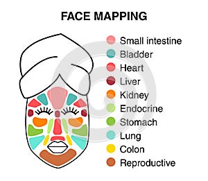 Cute infographic of face mapping, reasons of acne, inflammations or red pigmentation
