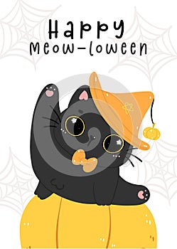 Cute innocence black cats witch on pumpkins, happy Halloween humorous cartoon animal