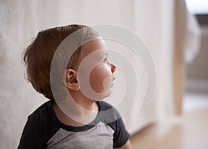 Cute, innocent and happy baby on floor in home with curiosity, wonder and playing in living room. Toddler, crawling and