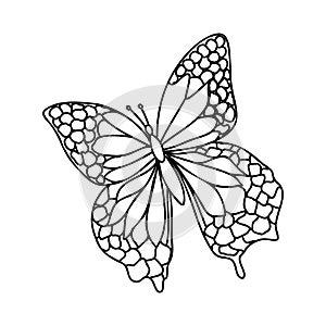 Cute insect butterfly. Doodle style, black and white background. Funny animal, coloring book pages. Hand drawn