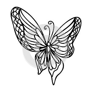 Cute insect butterfly. Doodle style, black and white background. Funny animal, coloring book pages. Hand drawn