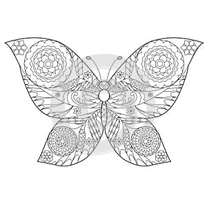 Cute insect butterfly. Doodle style, black and white background. Funny animal, coloring book pages. Hand drawn illustration in