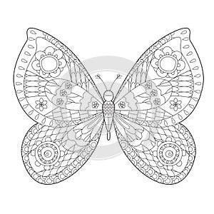 Cute insect butterfly. Doodle style, black and white background. Funny animal, coloring book pages. Hand drawn illustration in