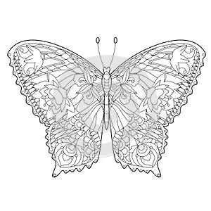 Cute insect butterfly. Doodle style, black and white background. Funny animal, coloring book pages. Hand drawn illustration in