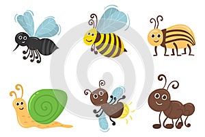 Cute insect characters, bug worm, beetle flat.