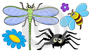 Cute insect collection