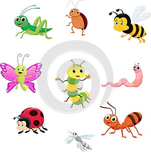 Cute insect collection set