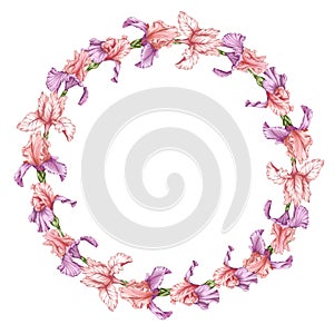 Cute iris flowers wreath, pinky lilac botanica