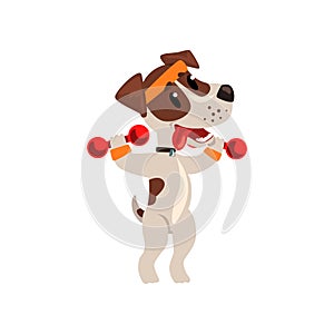 Cute jack russell terrier athlete exercisng with dumbbells, funny sportive pet dog character doing sports vector