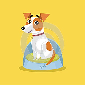 Cute jack russell terrier sitting on dogs bed, funny pet animal character cartoon vector Illustration