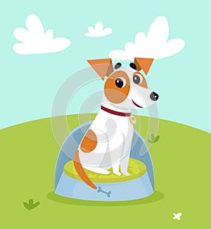 Cute jack russell terrier sitting on dogs bed in the meadow on summer day vector Illustration in cartoon style