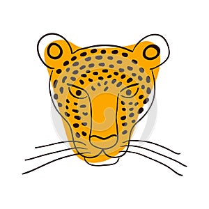 Cute jaguar face hand drawn illustration, sketch.