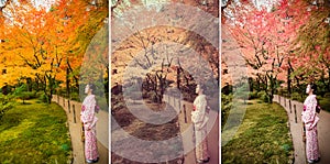 Cute Japanese girl is standing calmly in autumn wilderness lands