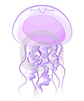 Cute jellyfish cartoon Jellyfish flat icon Flat design of swimming marine creatures with round shadow isolated on the white