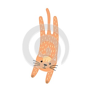 Cute jumping cat in cartoon style. Feline character isolated element. Funny ginger kitten