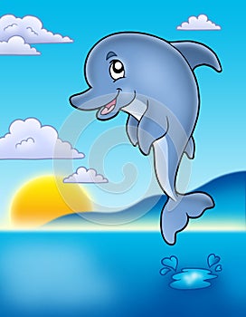 Cute jumping dolphin with sunset