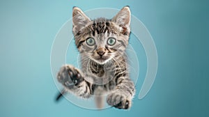 The Cute Jumping Kitten.AI generated image