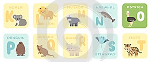 Cute K-T alphabet cards with cartoon savannah African animals. Vector zoo illustrations. Koala, lion, Muskox, narwhal, ostrich,