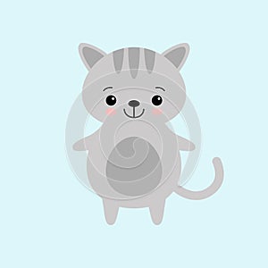 Cute kawaii cat cahracter. Children style, vector illustration. Sticker, isolated design element for kids books