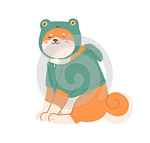 Cute kawaii dog of Shiba Inu breed wearing canine clothes. Happy smiling puppy sitting in hoodie and hat. Colored flat