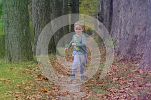 Cute kid, boy having fun at autumn street, jumping and running around on carpet of fallen leaves. Boy running in the yellow leaves