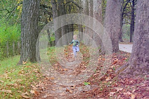 Cute kid, boy having fun at autumn street, jumping and running around on carpet of fallen leaves. Boy running in the yellow leaves