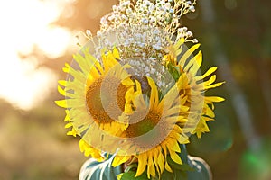 Cute kid boy hiding by bouquet of fields sunflowers in autumn sunset day. Autumn concept. Mother day and thanksgiving concept