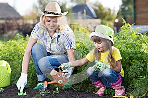 Cute kid girl helps her mother to care for plants. Mother and her daughter engaged in gardening in the backyard. Spring