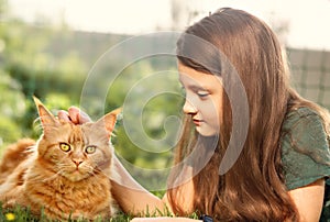 Cute kid girl petting the orange pedigreed cat with love on summer green grass background. Closeup portrait