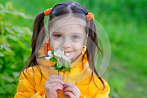 Cute kid girl with ponytails in a yellow jacket sniffs a white flower of an apple tree, smiles and looks at the camera