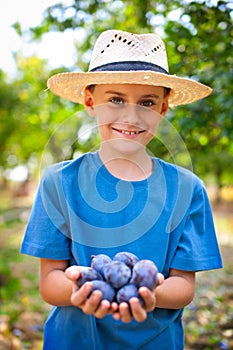 Cute kid with a handful of plums